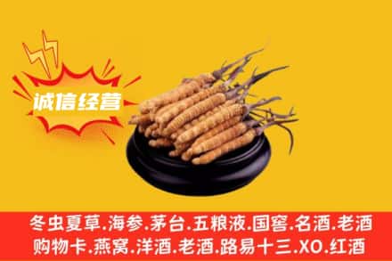 衢州市回收冬虫夏草